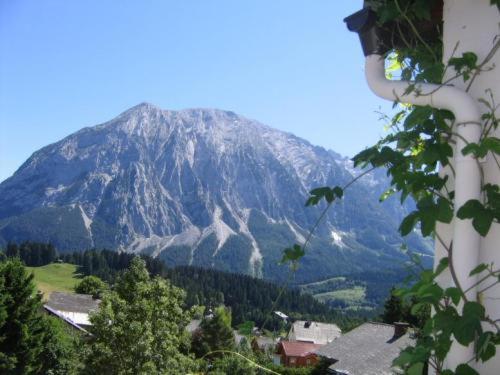 Номер Стандарт, Pension Sonnenuhr