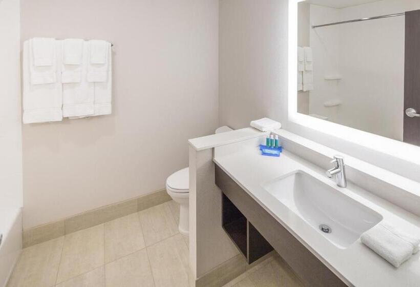Номер Стандарт, Holiday Inn Express & Suites   Indianapolis Nw   Zionsville, An Ihg