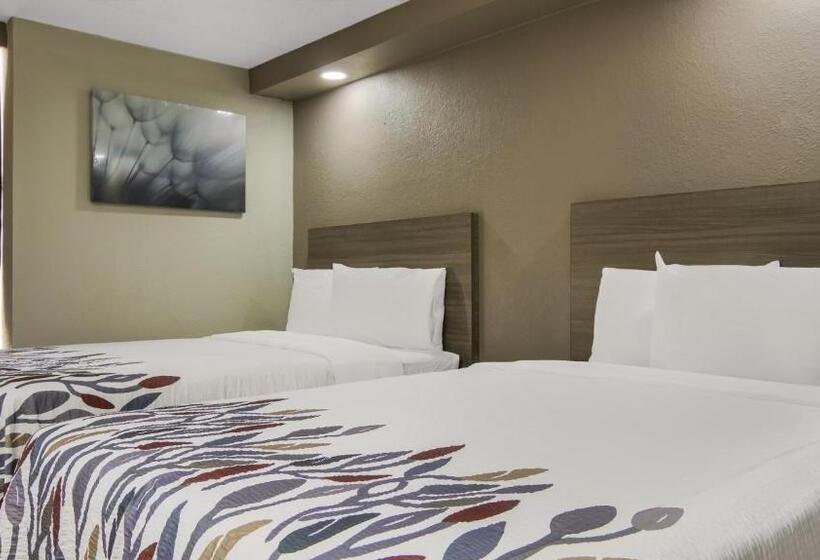 Standard Værelse 2 Dobbeltsenge, Red Roof Inn And Conference Center Chicago   N Aurora Naperville