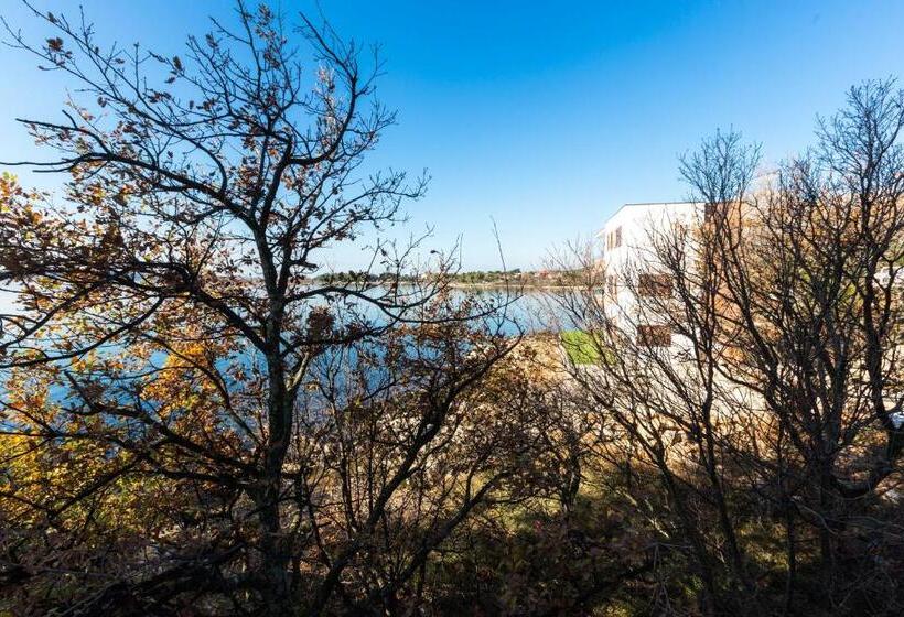 Номер Стандарт Трехместный, Pansion Croatia