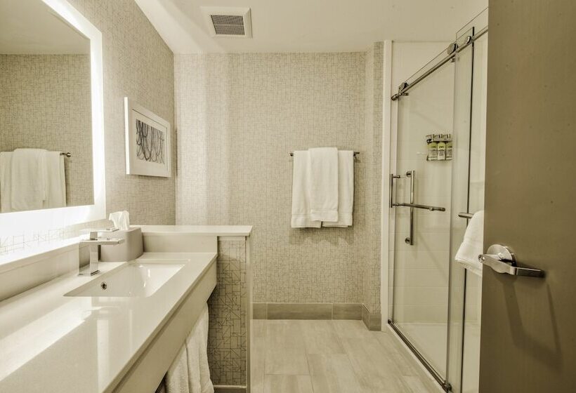 Люкс Адаптированный для Инвалидов, Holiday Inn Express & Suites Dallas Nw   Farmers Branch, An Ihg