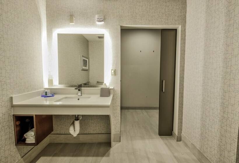Люкс, Holiday Inn Express & Suites Dallas Nw   Farmers Branch, An Ihg