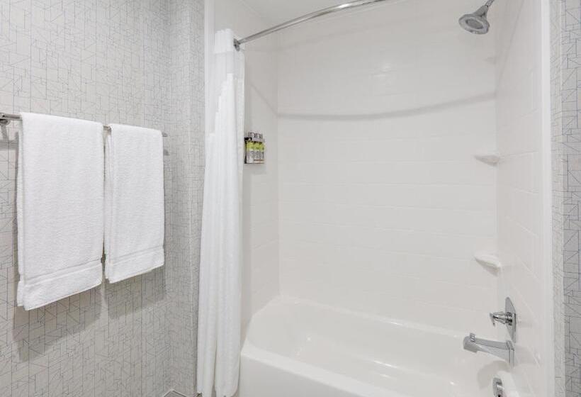 Номер Стандарт, Holiday Inn Express & Suites Dallas Nw   Farmers Branch, An Ihg