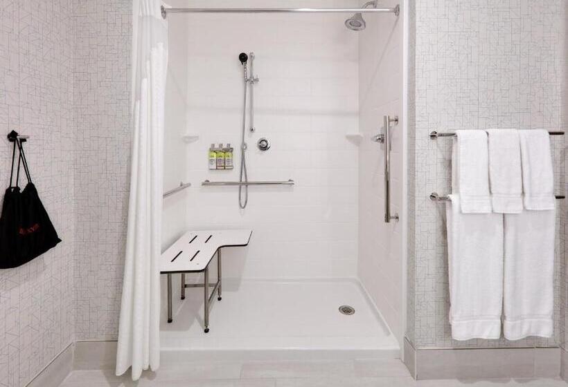 Номер Стандарт Кровать Кинг Адаптированный для Инвалидов, Holiday Inn Express & Suites Dallas Nw   Farmers Branch, An Ihg