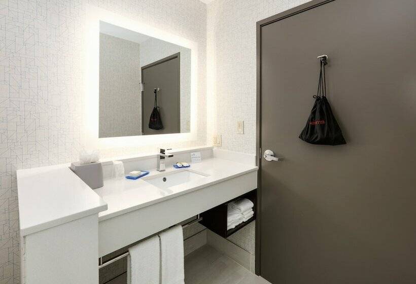 Номер Стандарт, Holiday Inn Express & Suites Dallas Nw   Farmers Branch, An Ihg