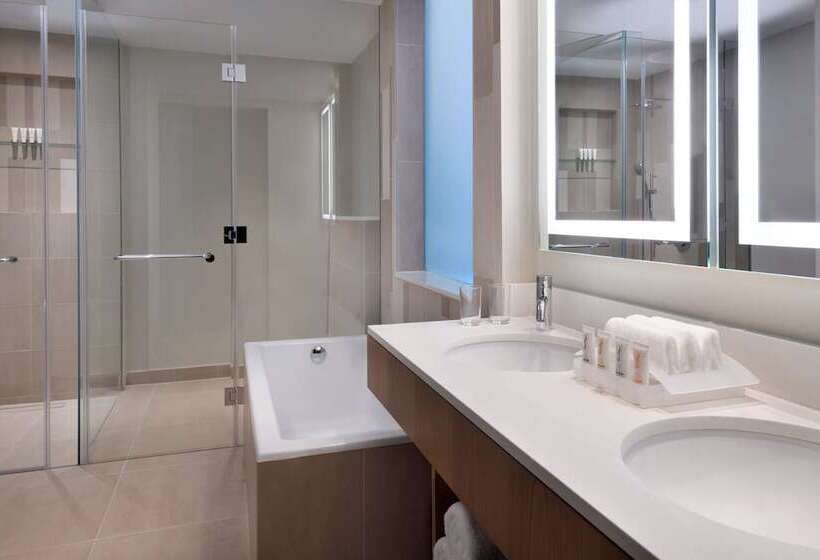 Номер Премиум Вид на Город, Holiday Inn & Suites   Dubai Festival City Mall, An Ihg