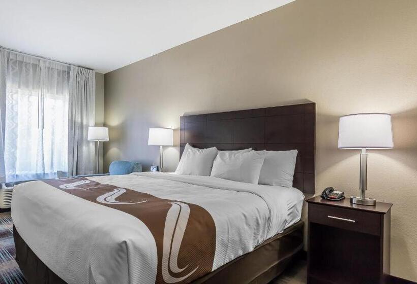 스탠다드 룸 킹사이즈 침대, Quality Inn Pleasant View