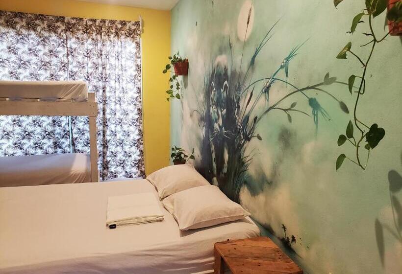 Habitació Quàdruple Estàndard Bany Compartit, Tres Mundos Hostel