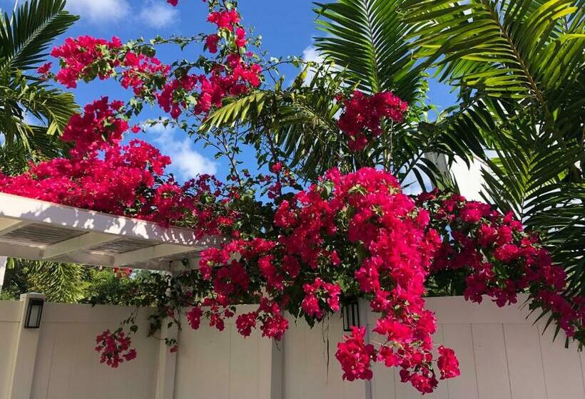 חדר סטנדרט עם מיטת קינג, The Big Coconut Guesthouse   Gay Men S Resort