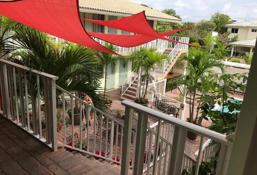 Студио Стандарт Кровать Кинг, The Big Coconut Guesthouse   Gay Men S Resort