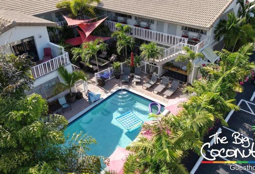 סטודיו סטנדרט, מיטה זוגית, The Big Coconut Guesthouse   Gay Men S Resort