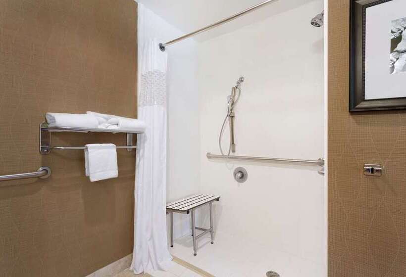 Студио Стандарт Кровать Кинг, Hampton Inn & Suites Menomonie Uw Stout
