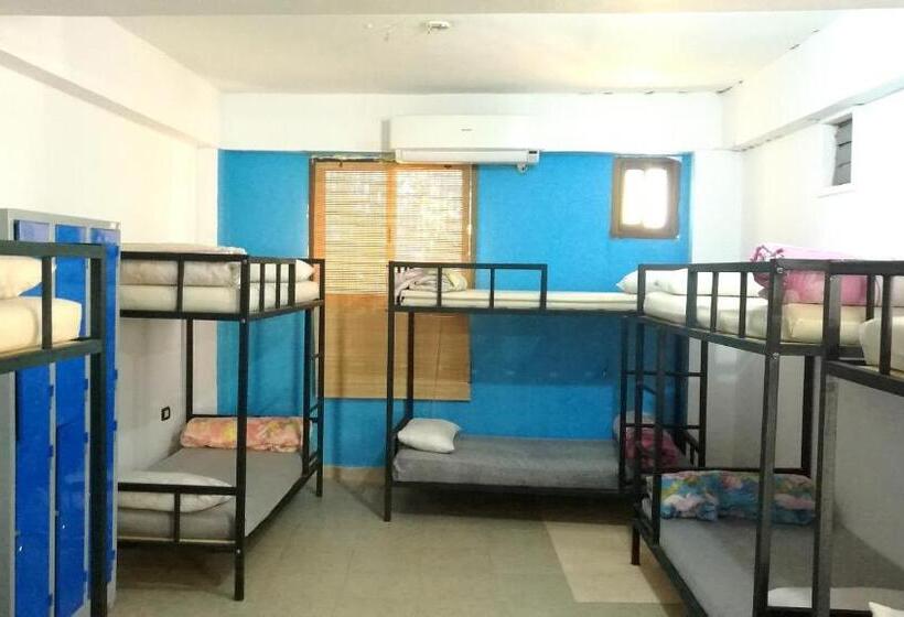 تختخواب در اتاق مشترک, Deep Blue Divers Hostel Dahab