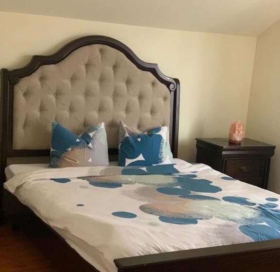 سوییت خانوادگی, Aqua Club Elatis
