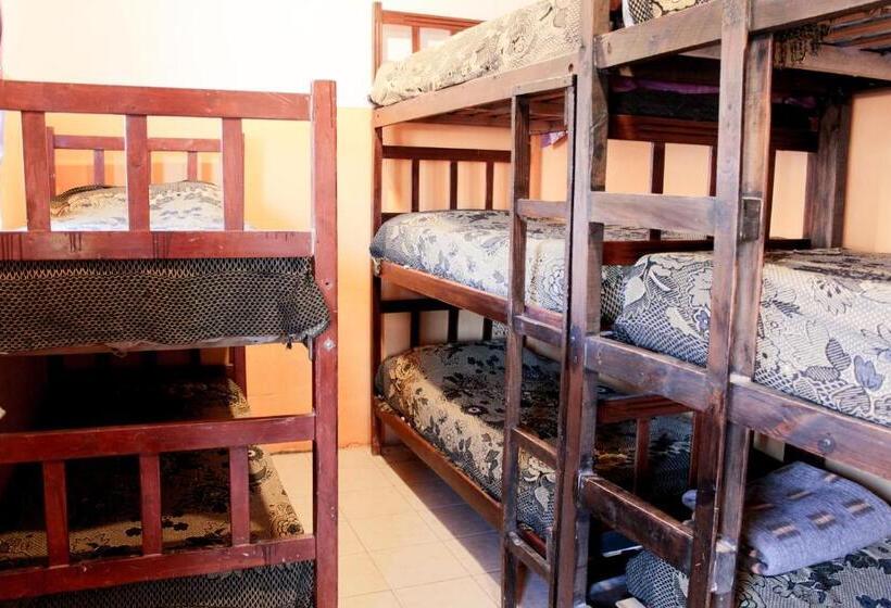 Кровать в Общей Комнате, Tierra Andina Hostel