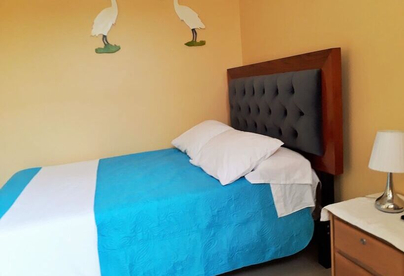 اتاق استاندارد با تخت دوبل, Hostal Mendieta