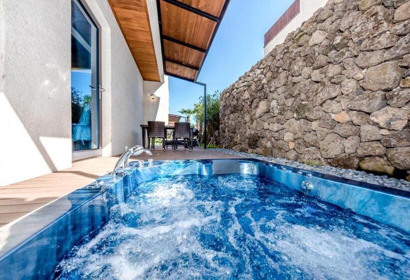 Семейный Номер Deluxe, Arts Spa&poolvilla