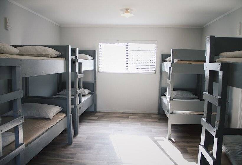 공동 객실, Hugo & Carter S Backpackers & Motel