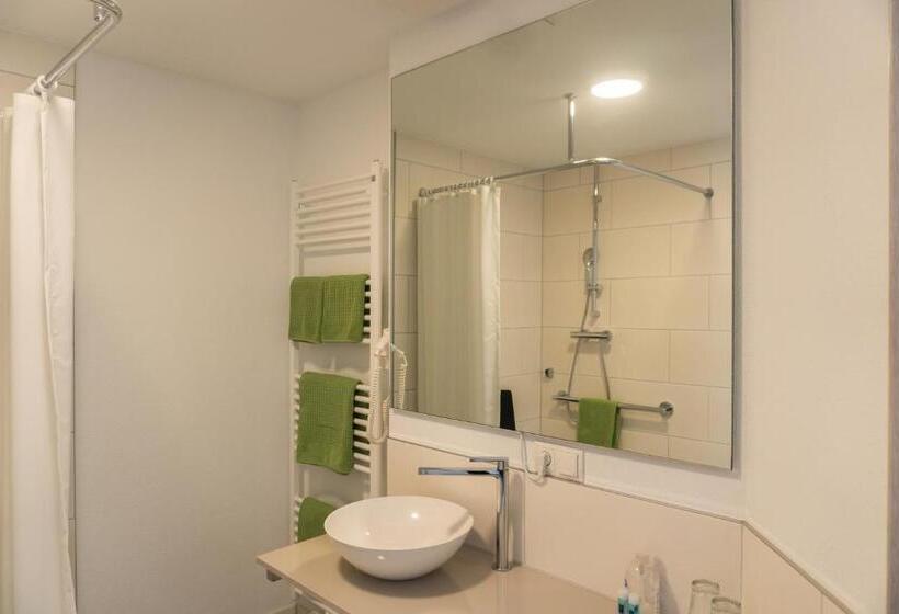 غرفة بيزنس, Pension Haas Hotel Am Turm