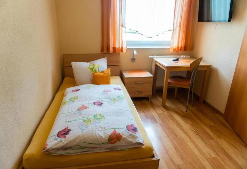 غرفة قياسية فردية, Pension Haas Hotel Am Turm