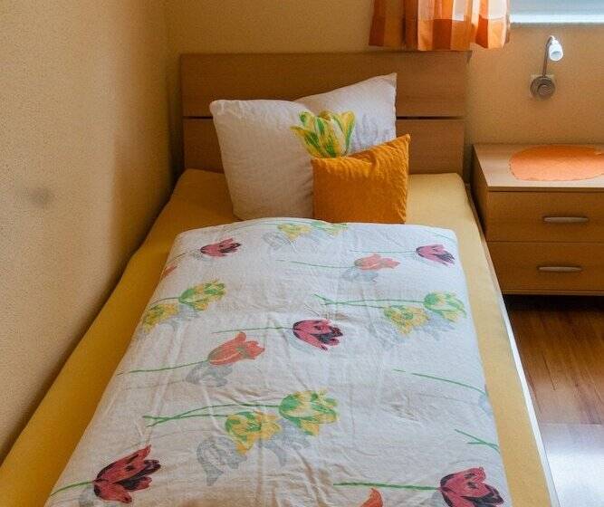 غرفة قياسية فردية, Pension Haas Hotel Am Turm