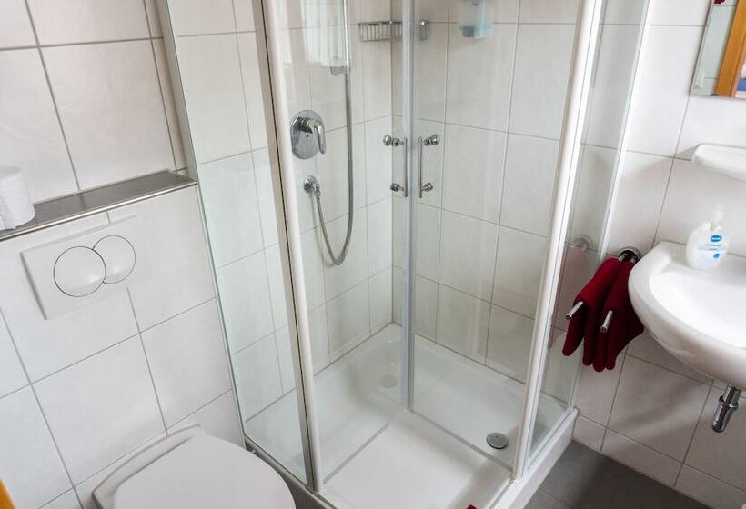 غرفة قياسية, Pension Haas Hotel Am Turm