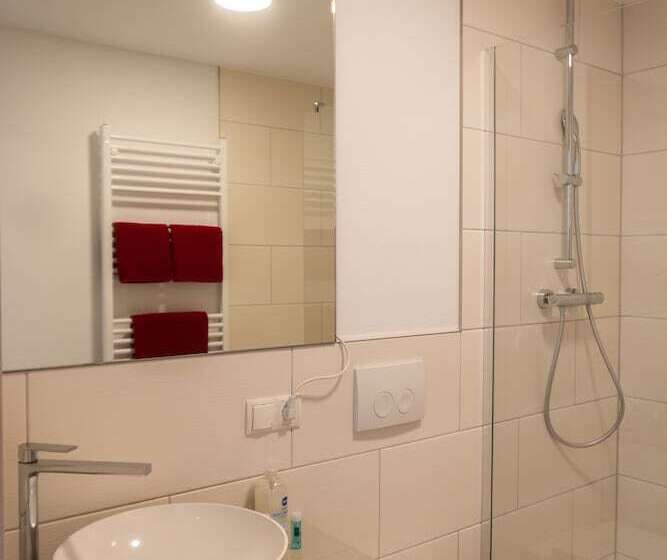 غرفة بيزنس, Pension Haas Hotel Am Turm