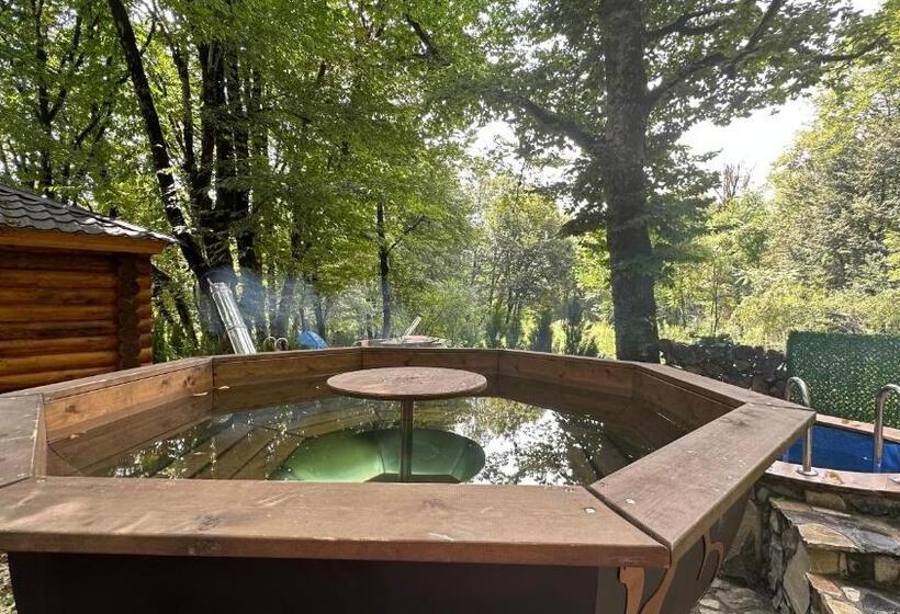 شقة غرفة واحدة, Wald Hotel Lagodekhi Rooms