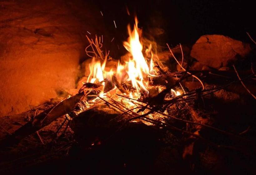 اتاق خانوادگی, Petra Bedouin Bed And Breakfast
