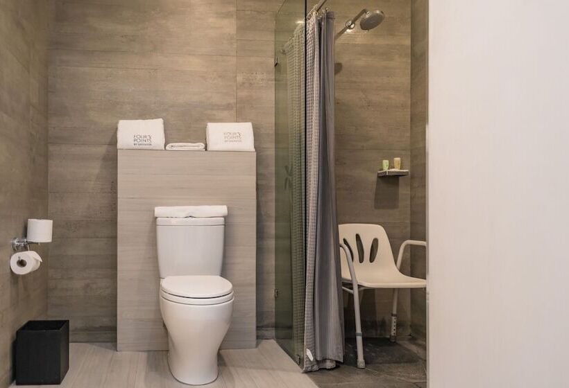 اتاق کلاسیک با تخت دوبل, Four Points By Sheraton Puebla
