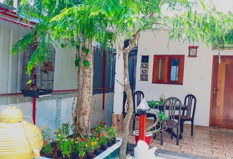 Номер Economy, Villa 67