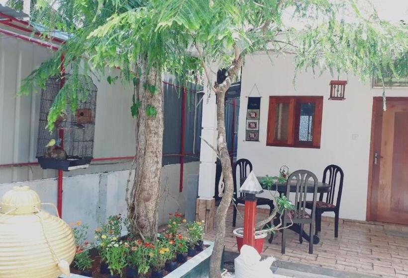 Номер Economy, Villa 67