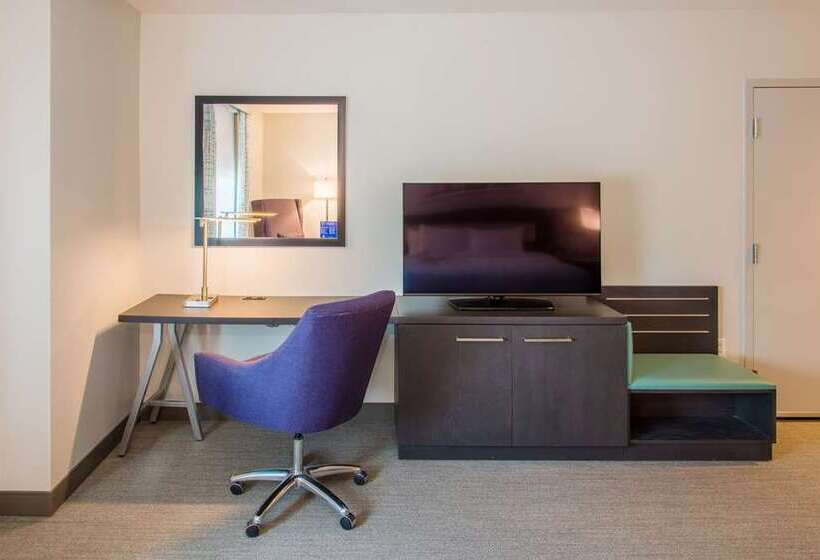 Номер Стандарт Кровать Кинг Адаптированный для Инвалидов, Tru By Hilton Meridian Boise West Id