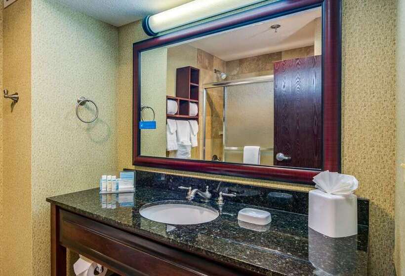 Стандартный Номер Кровать Кинг, Hampton Inn San Marcos, Ca