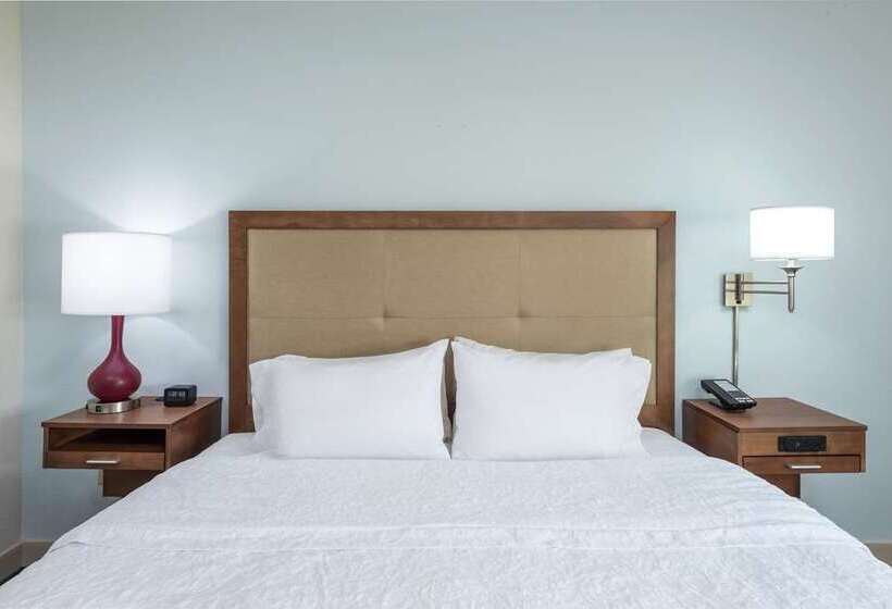 Студия Стандарт, Hampton Inn San Marcos, Ca