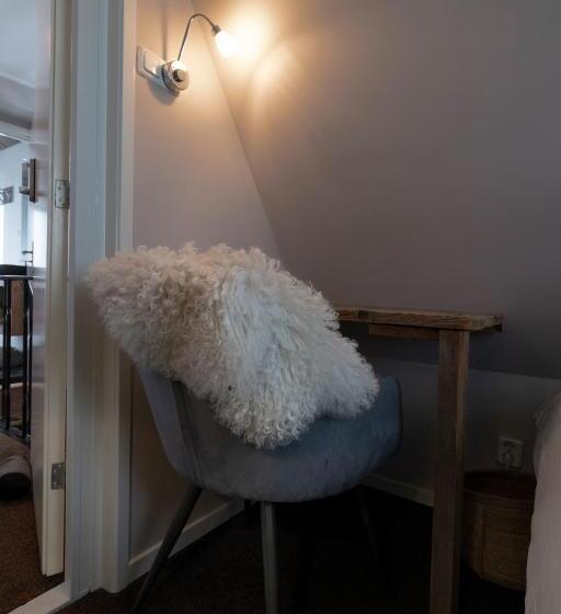 اتاق عادی یک تخته, De Roos Leeuwarden