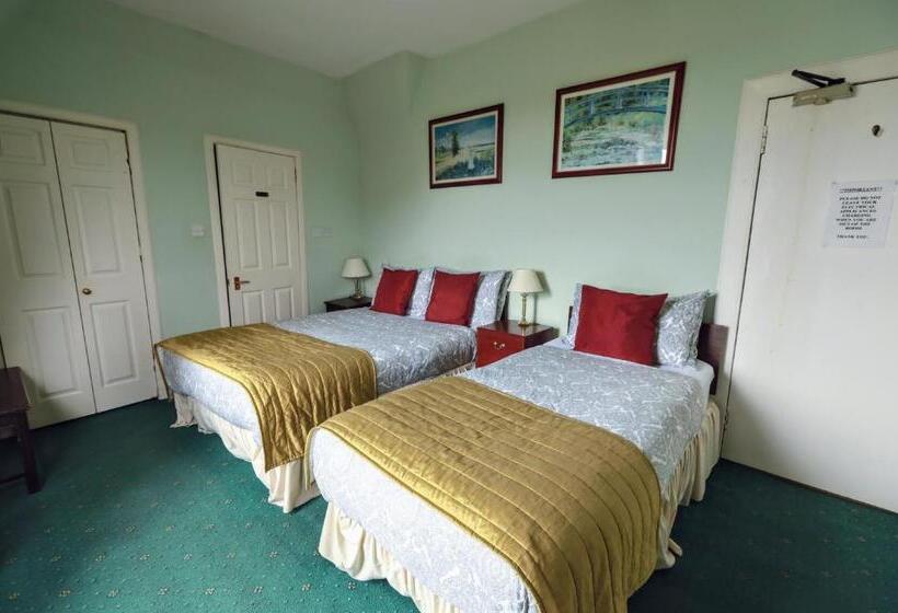 Номер Стандарт Трехместный, Airdenair Guest House