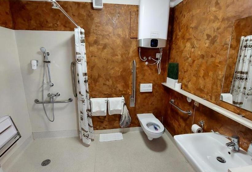اتاق استاندارد با تخت بزرگ برای معلولان, Smarthotel Nezvalova Archa