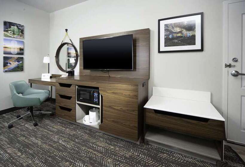 장애인을 위한 스탠다드 룸, Hampton Inn & Suites Xenia Dayton