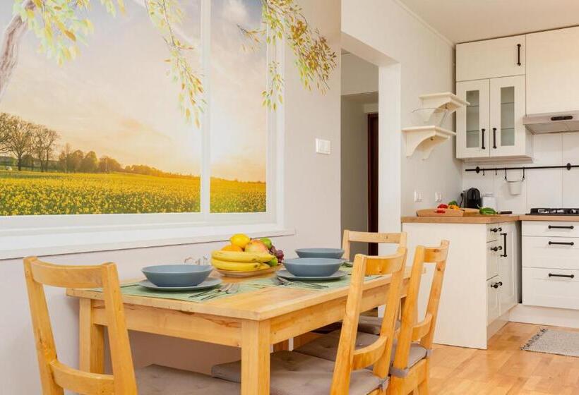 استودیوی استاندارد, Apartment Grzybowska By Noclegi Renters