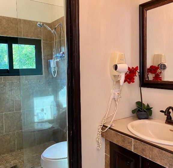 سوئیت با چشم‌انداز, Vista Las Olas Resort
