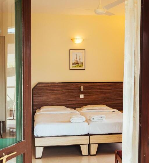 اتاق سوپریور, Arcadia