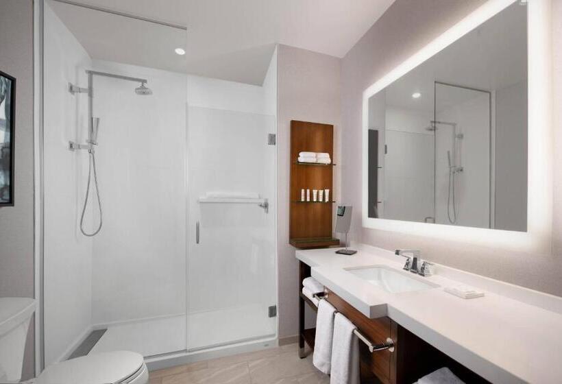 חדר סטנדרט, Marriott Dallas Allen Hotel & Convention Center