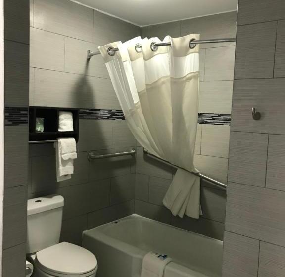 Номер Стандарт Кровать Кинг Адаптированный для Инвалидов, Rodeway Inn South