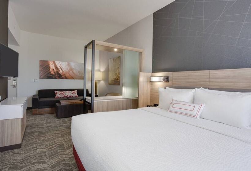 스위트, Springhill Suites By Marriott Fort Lauderdale Miramar