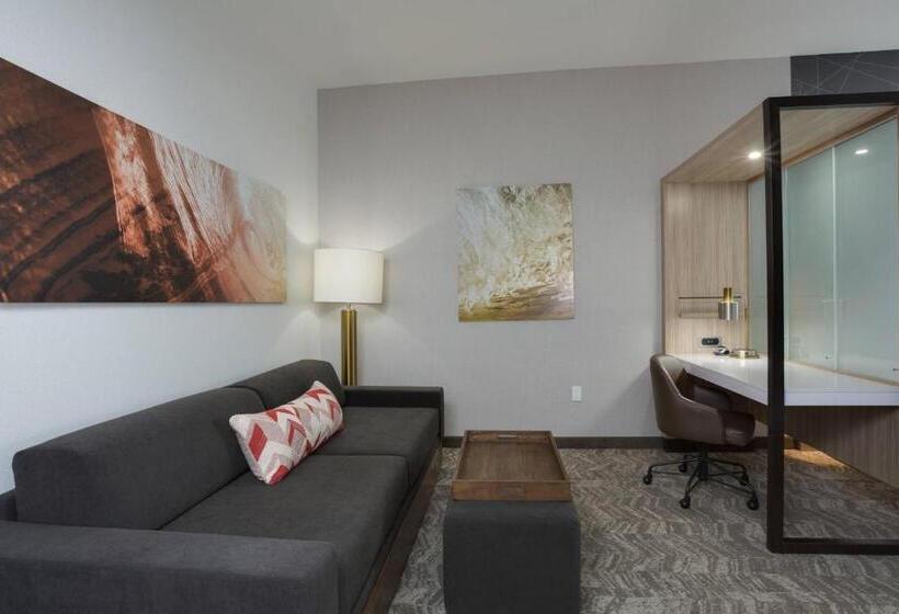 스위트, Springhill Suites By Marriott Fort Lauderdale Miramar