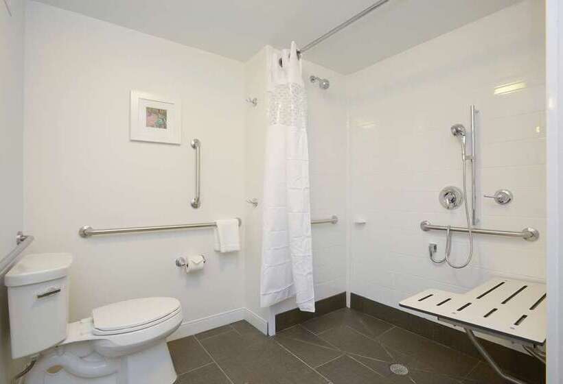 장애인을 위한 킹사이즈 침대 스탠다드 룸, Hampton Inn Acworth