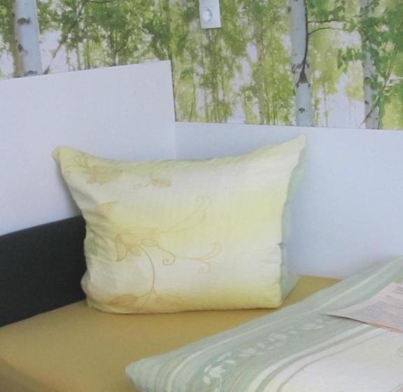 اتاق استاندارد یک نفره, Pension Adler Untertürkheim