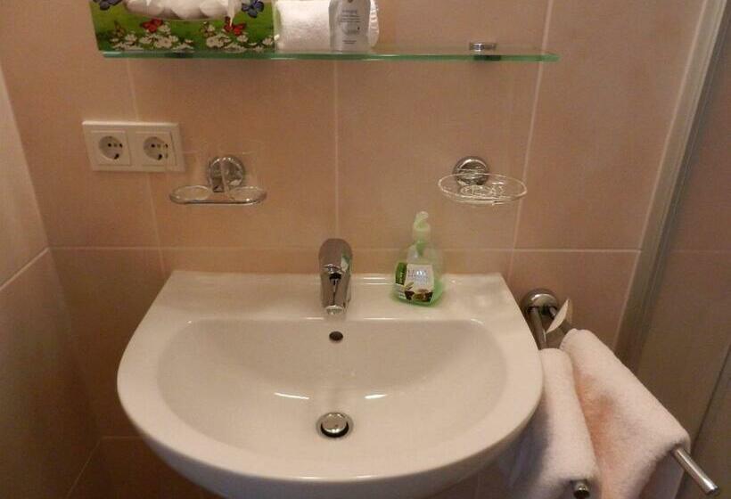 Номер Стандарт Индивидуальный, Pension Apartment Hödner