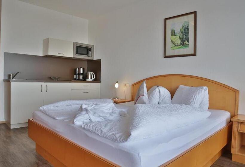 Студия Стандарт, Pension Apartment Hödner